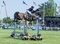 Laura Renwick Claims International Stairway Victory at the Royal Norfolk Show